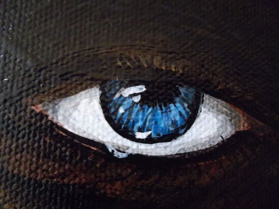 Coal Blue Eyes - (Reduced)