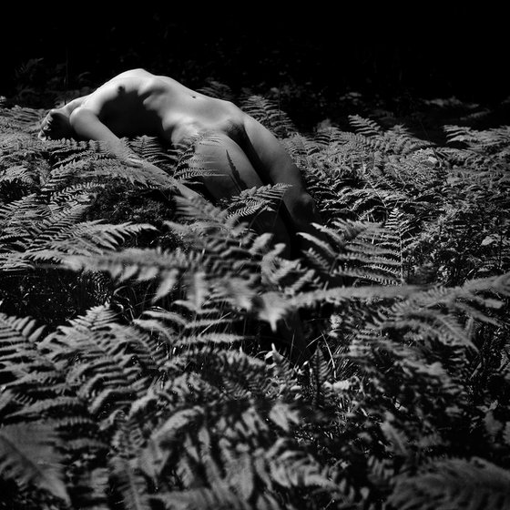 In the fern. Self portrait series.