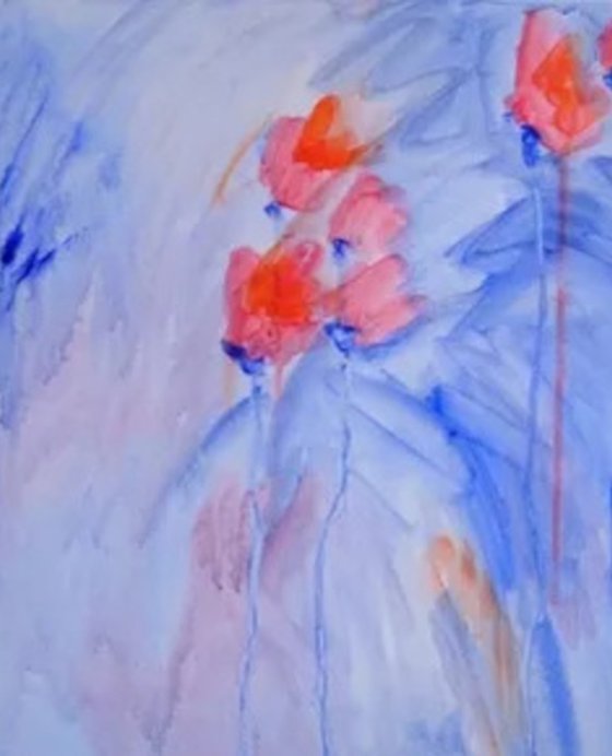 Vibrant Garden Poppies