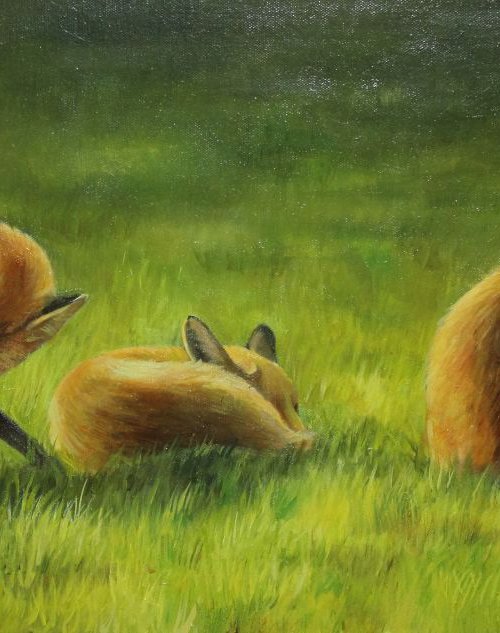 Foxes in the Sun Vol 2 by Alex Jabore