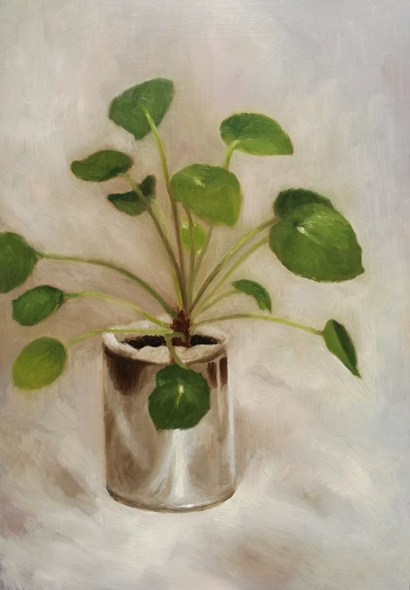 Expressive Botanical Oil Painting By Daniela Roughsedge, 9 X 13, Chinese Money Plant, Original Artwork
