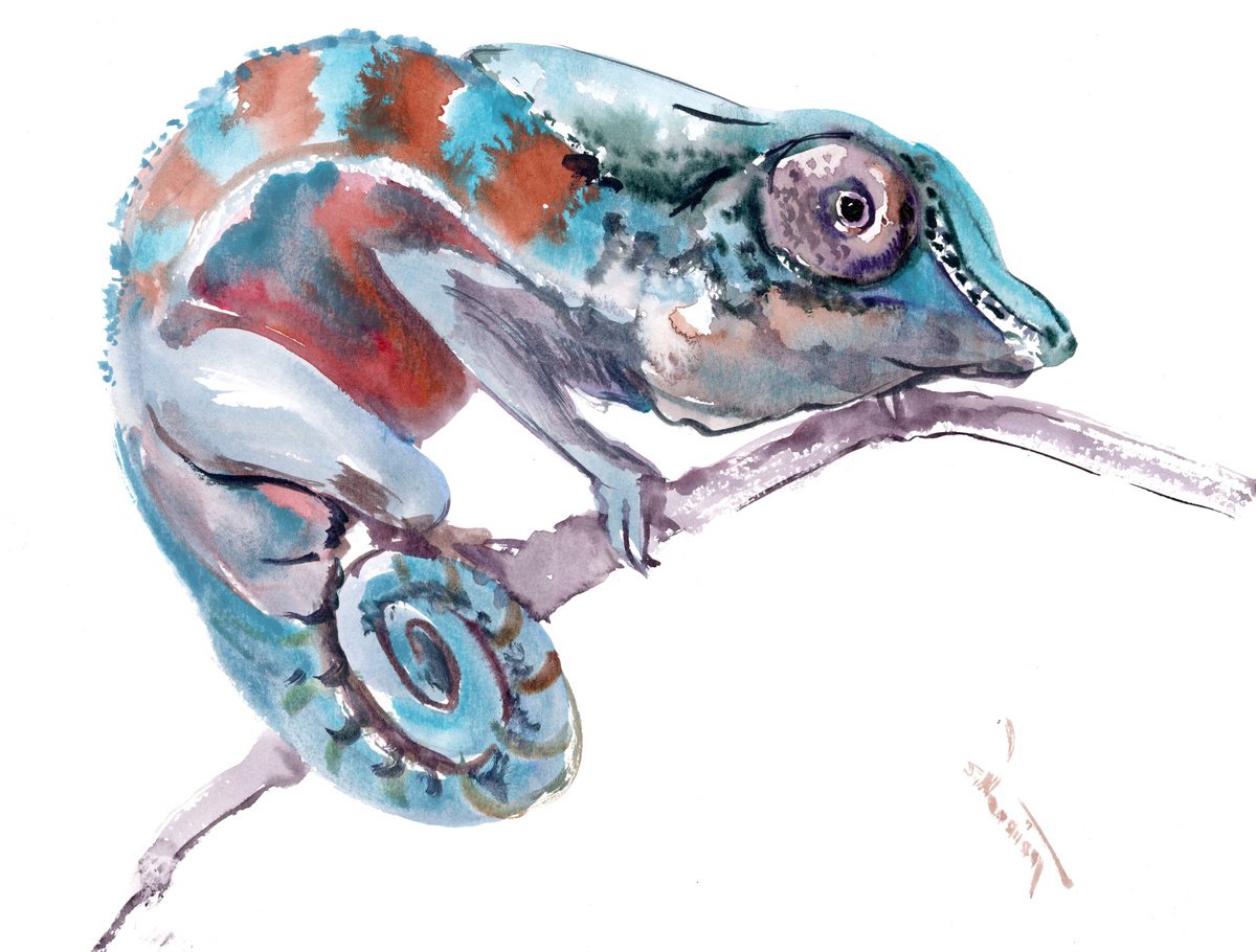 chameleon by Suren Nersisyan