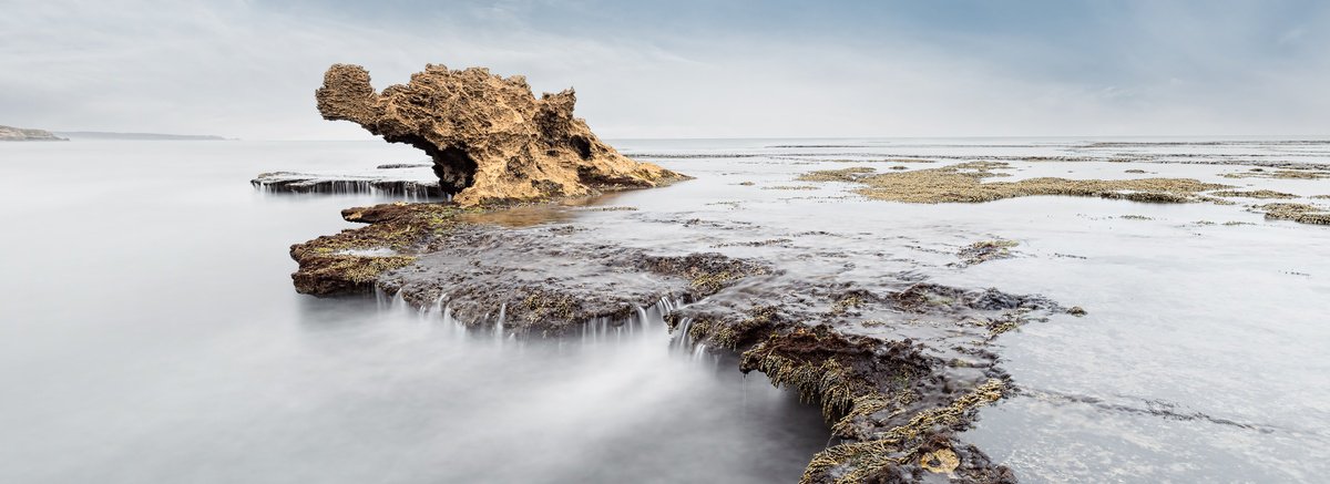 Enchanting Dragons Head by Nick Psomiadis