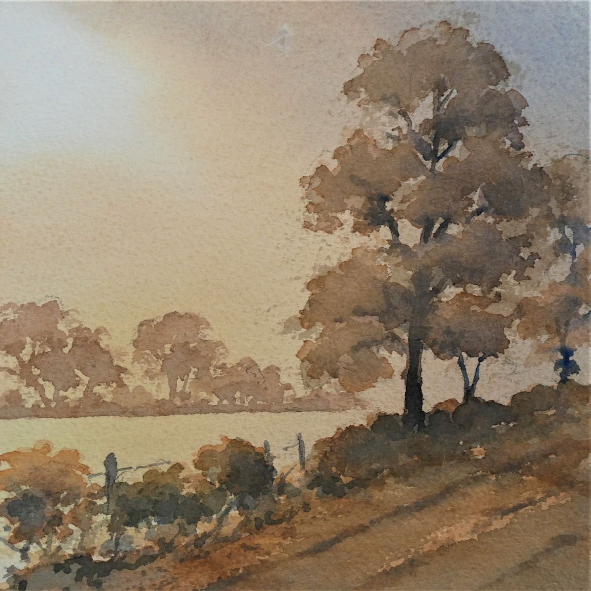 Farm Track by John Campbell