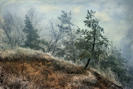 "In the mist of autumn". Scene 7 "Toward the winter"
