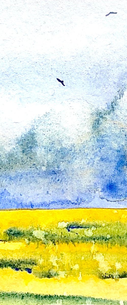 Mountain. May #2 by Svetlana Vitman
