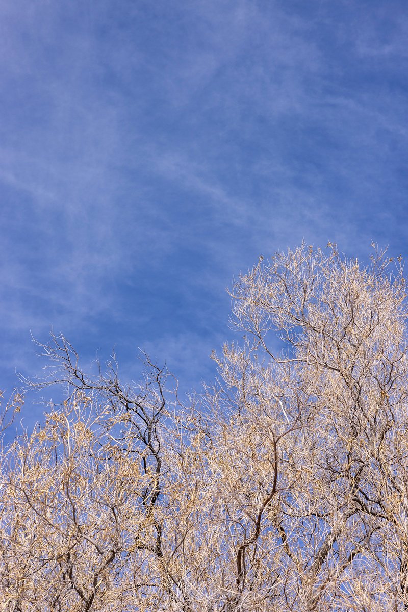 Impressionistic Landscape Photograph By Ziesook You, 16 X 24", Drawing Of Santa Fe, Original Artwork