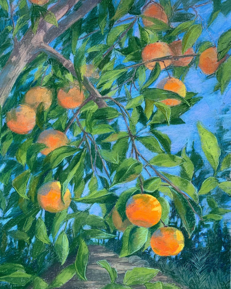 Mandarins by Nataliya Lemesheva