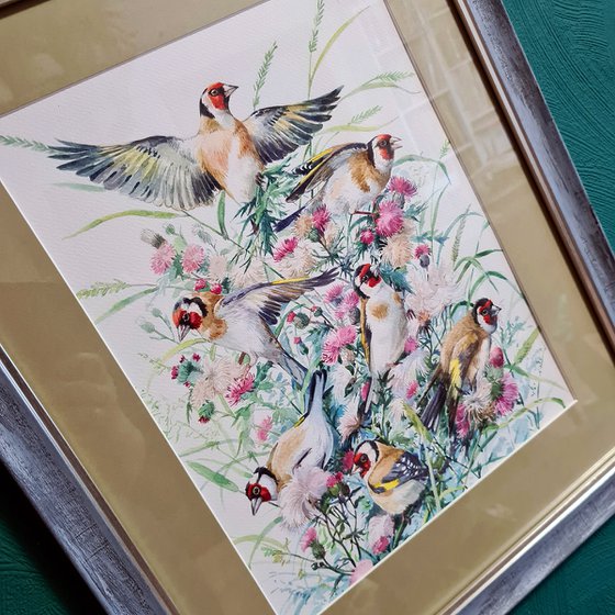 Original watercolor "Seven birds" (лат. Carduelis)