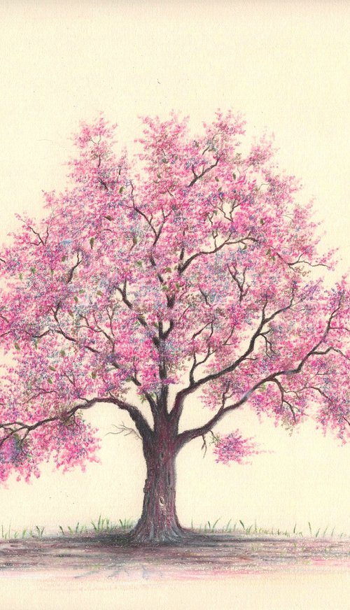 Crabapple Tree by Shweta  Mahajan