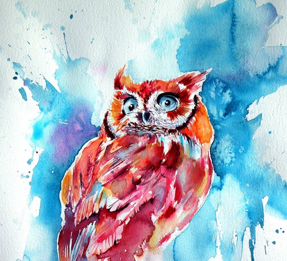 Cute owl