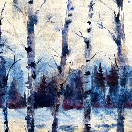 winter Woodland