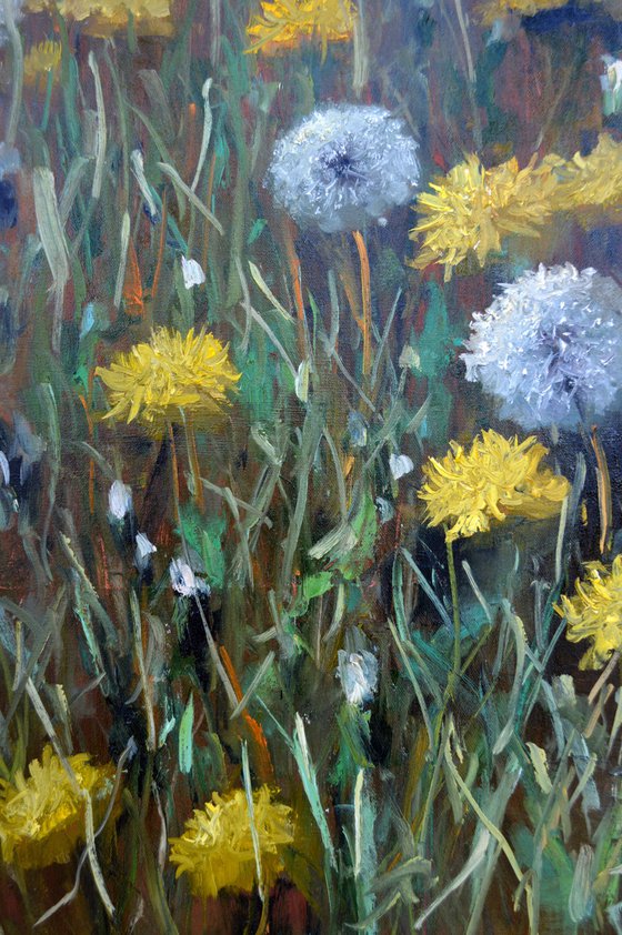 Fragment of a lawn of dandelions