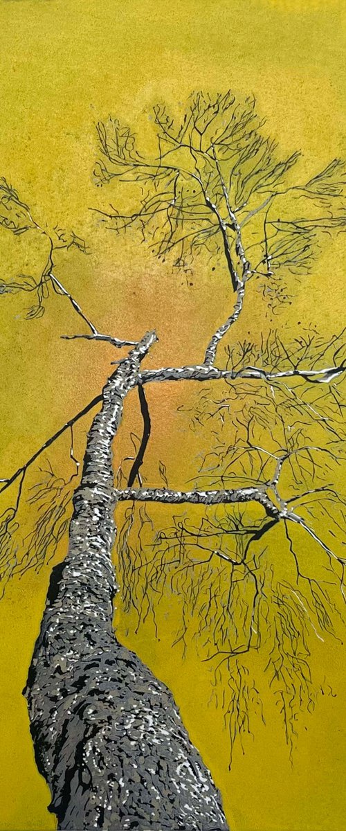 Birch Tree Linocut Print by C Staunton