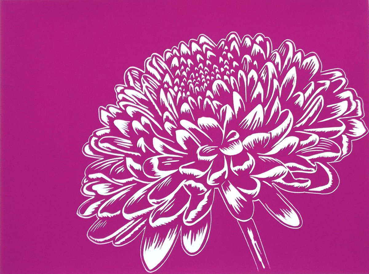 Chrysanthemum Magenta by TARA SLATER