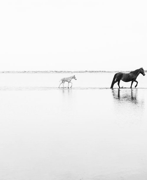 WALKING ON WATER. by Andrew Lever