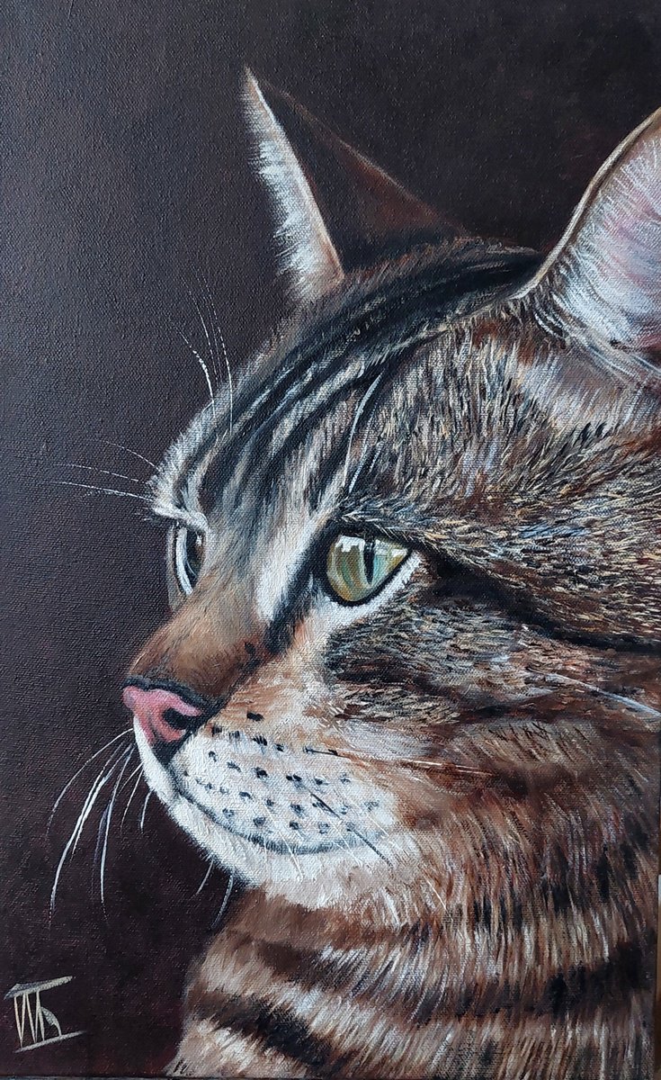 Photorealistic Animal Oil Painting By Ira Whittaker, 12 X 19, Curious Gaze, Original Artwork