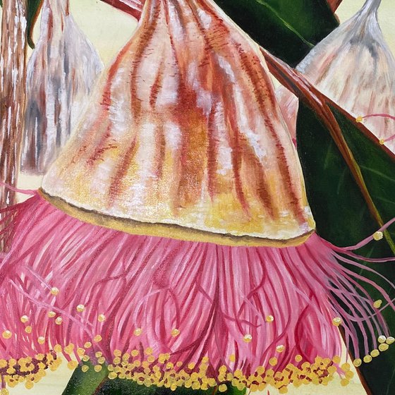 Nut in a Tutu