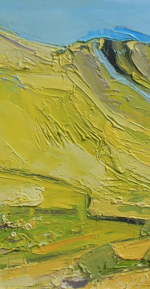 Yellow Hillside - Hartsop Dodd by Ben McLeod
