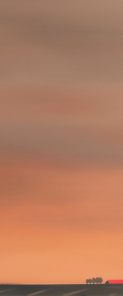 Glowing sky in my Dutch polder (April) by Nelly van Nieuwenhuijzen