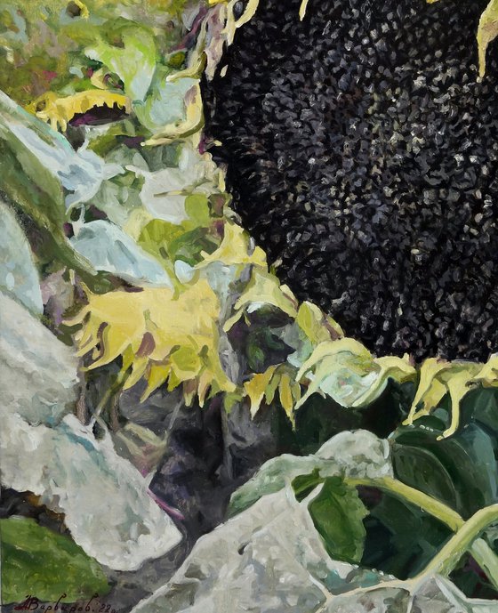 Seeds for the Future Harvest