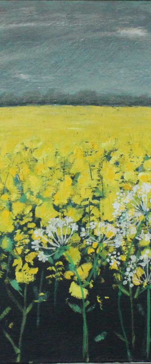 A field of yellow oil seed rape by Jo Sharpe
