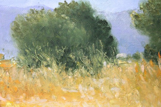 Paisaje del entorno de Moncofa