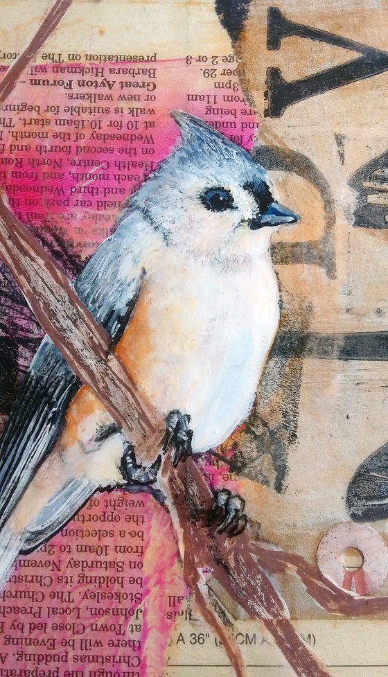 Tufted titmouse - Ornithology #8 - Framed ready to hang original painting