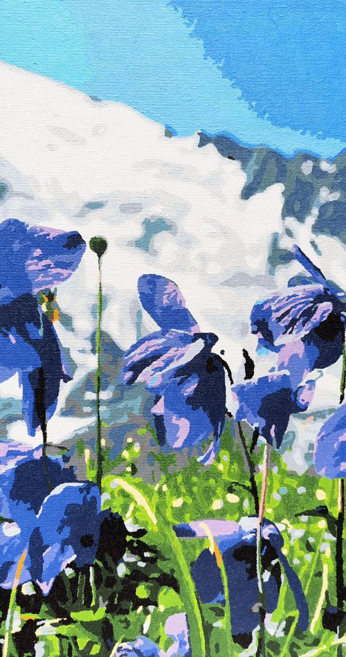 Lilac bellflowers in mountains by BAST
