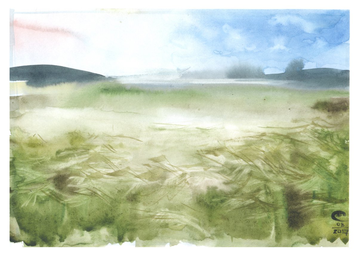 Feather grass, steppe, landscape. by Tatyana Tokareva