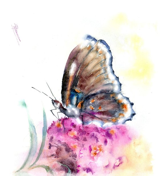 Butterfly