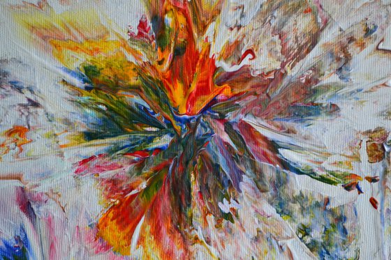 Between dream and reality