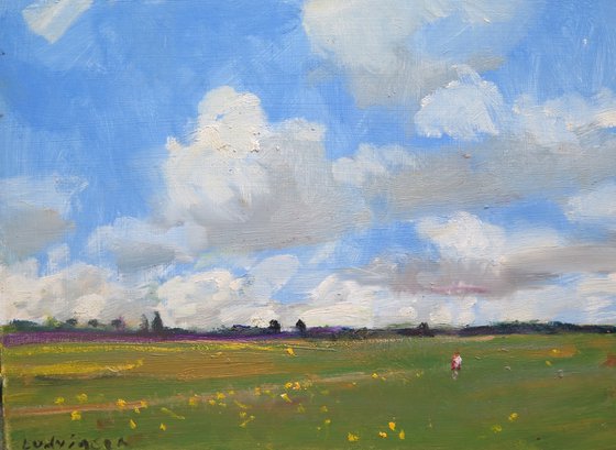 Summer Meadow