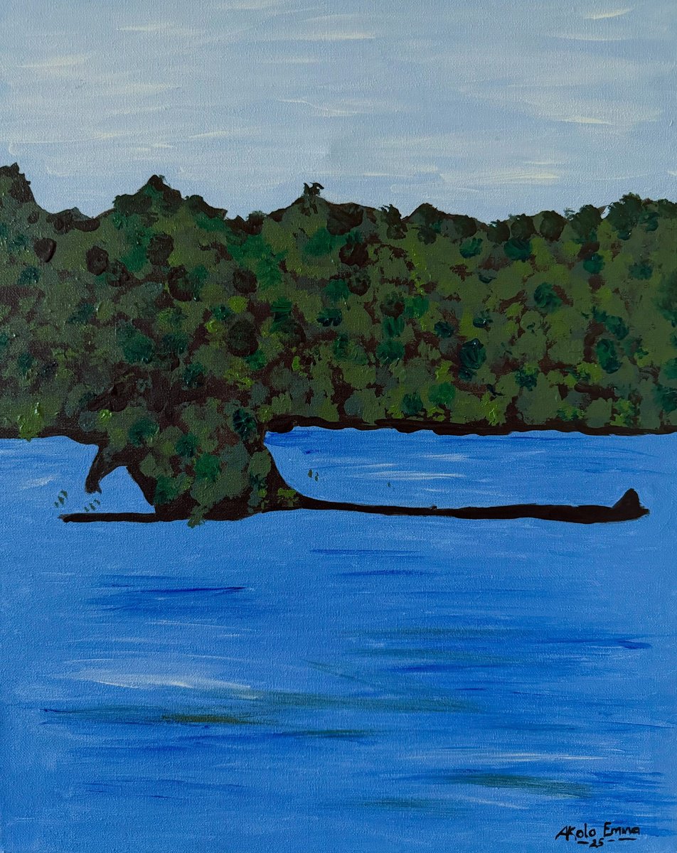 The Middle Ground By Emmanuel Akolo, 16 X 20, Artwork For Sale On Artfinder
