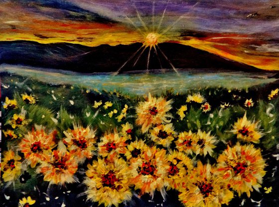 Symphony of the sun