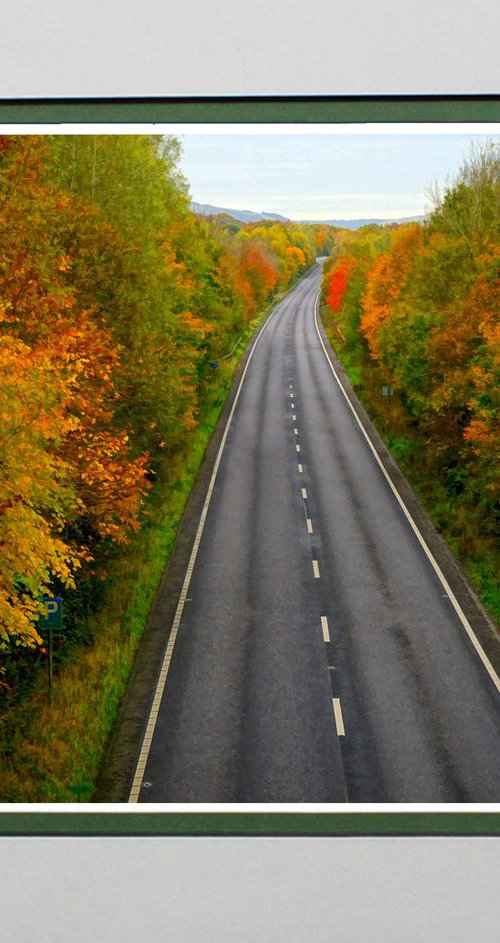 Heading home for Autumn by Robin Clarke