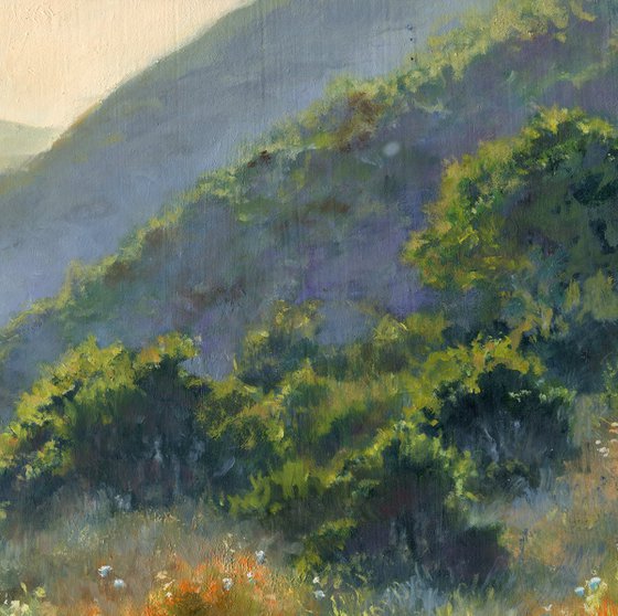 'Sunny slopes'