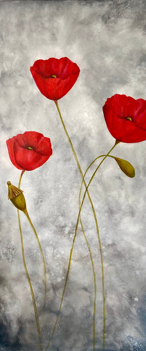 Tall poppies by Heather Matthews