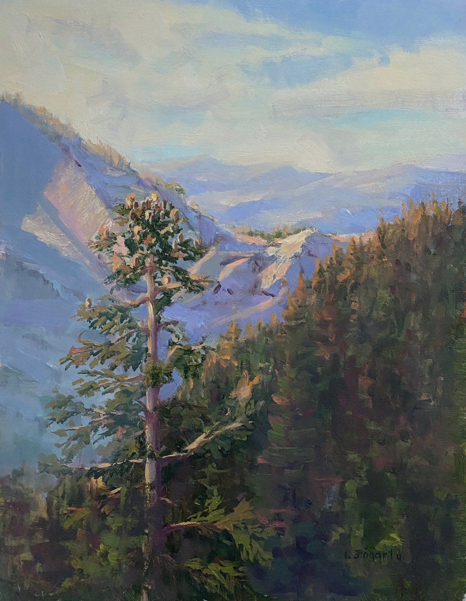 The Pines of Yosemite by Tatyana Fogarty