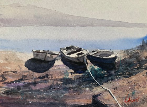 Three Old Boats on the shore