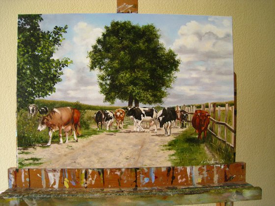 Cow Herd, Pastoral Farm Scene