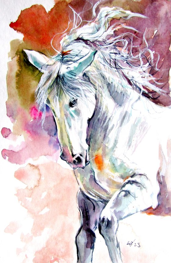 Andalusian horse collection