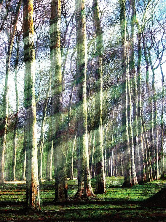 Bosque/XL large original artwork