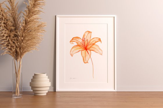 Transparent Tiger Lily