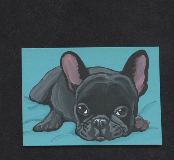 ACEO ATC Original Miniature Painting French Bulldog Pet Dog Art-Carla Smale