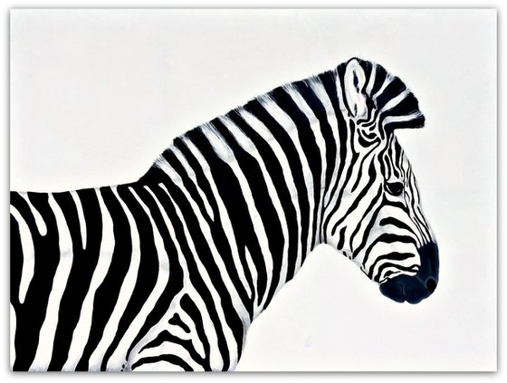 The Zebra