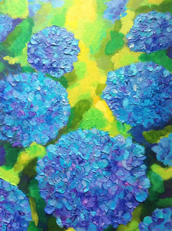 Hydrangeas