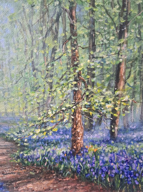A Walk In The Bluebell Woods