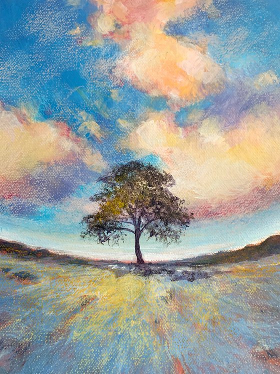 Autumn Dream, Sycamore Gap