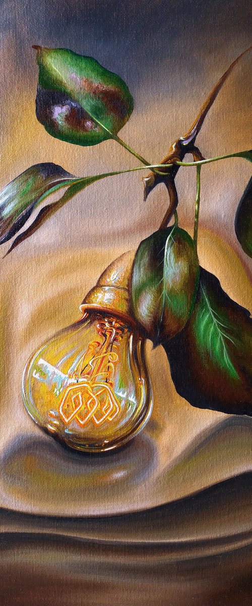 Harvest of light by Anna Shabalova
